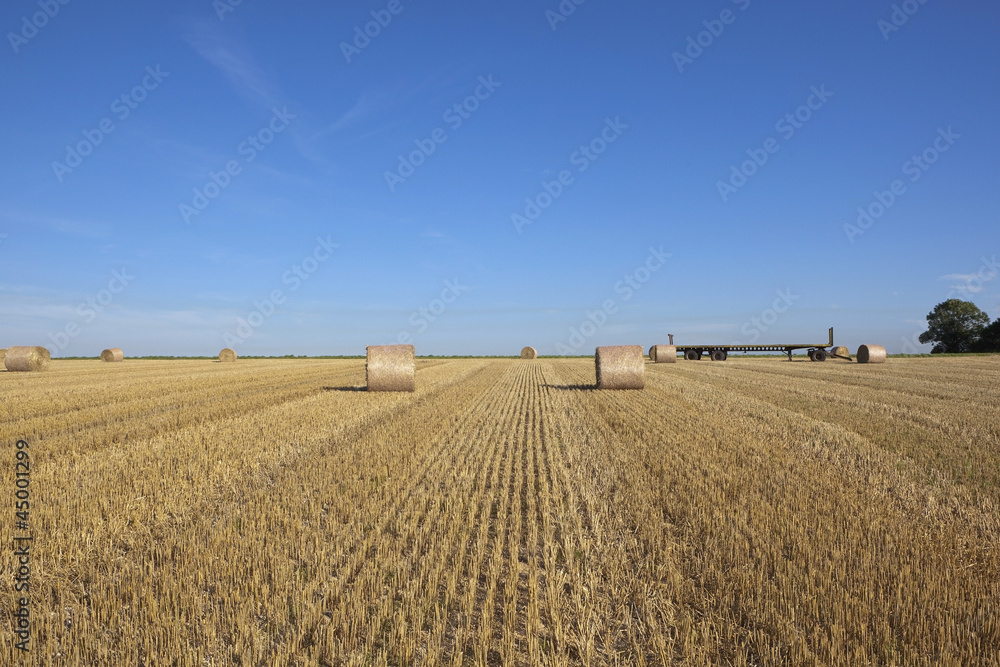 harvest time stubble field harvest time stubble field