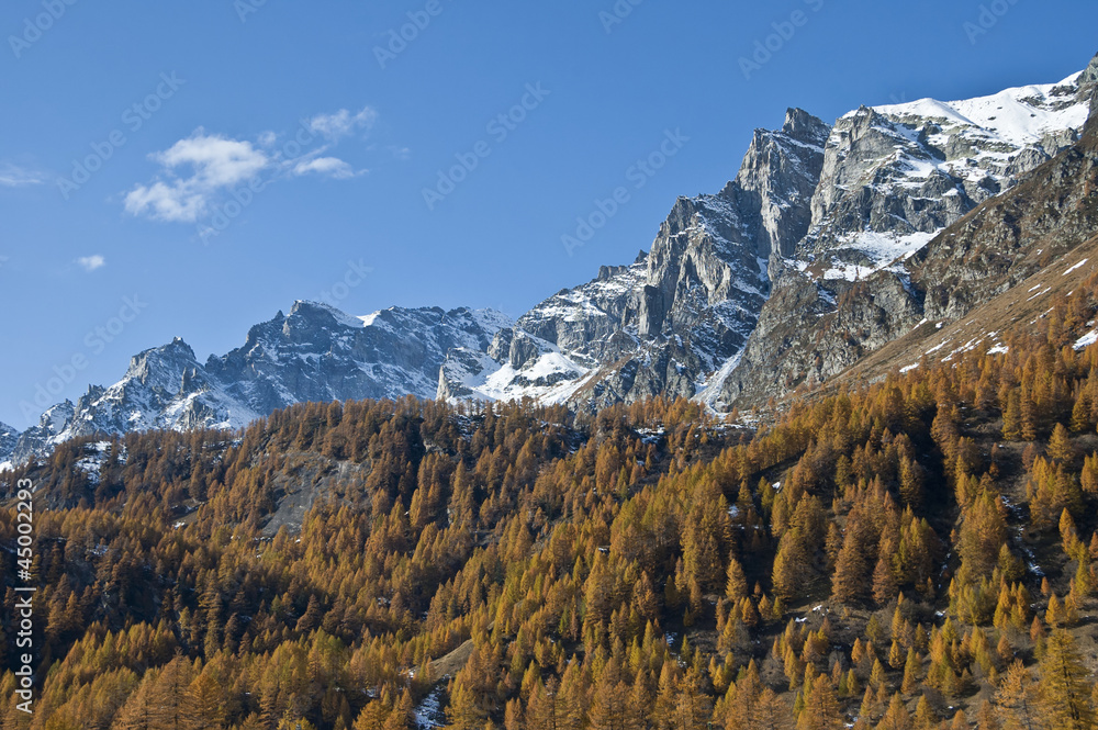 Fototapeta premium autumn colors and mountain with snow