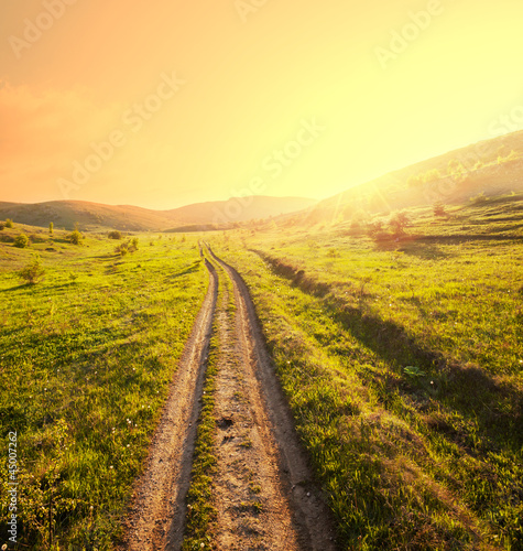 Road in meadow