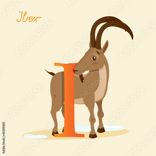 Animal alphabet with ibex,  vector illustration