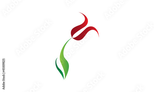 Fototapeta Naklejka Na Ścianę i Meble -  Concept fleur