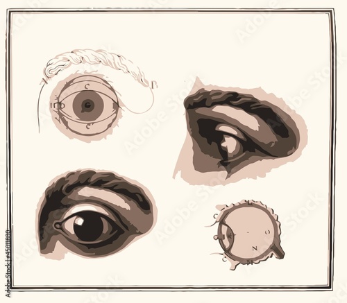 Planche anatomique d'un oeil