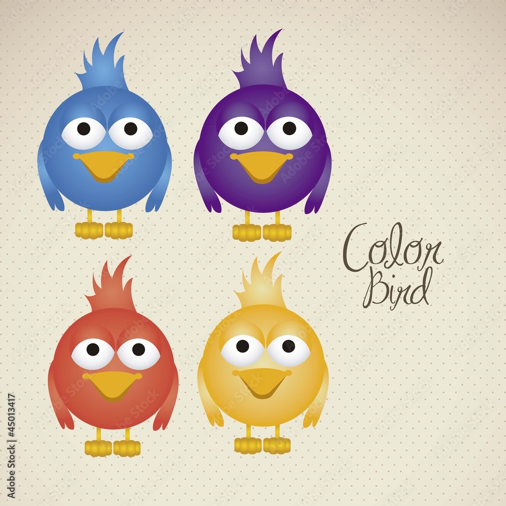 colorful birds