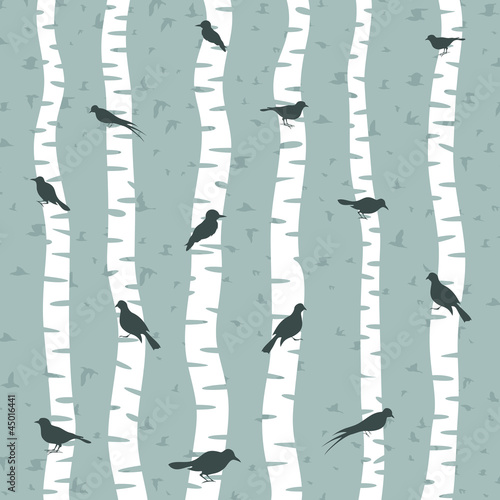 Bird on a birch