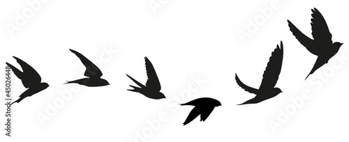 Naklejka Sylwetka wektor migracji ptaków