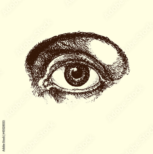 Human Eye