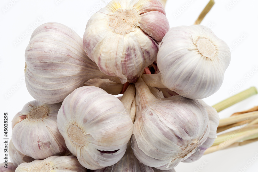 Obraz premium fresh garlic on white background