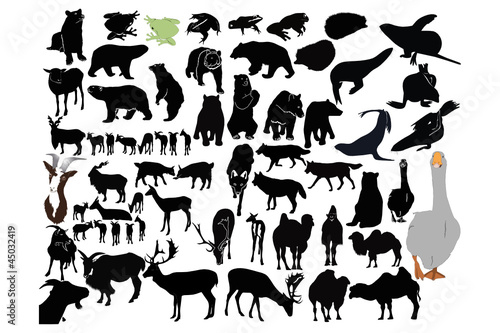 vector animals collection isolated