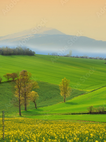 paysage de campagne