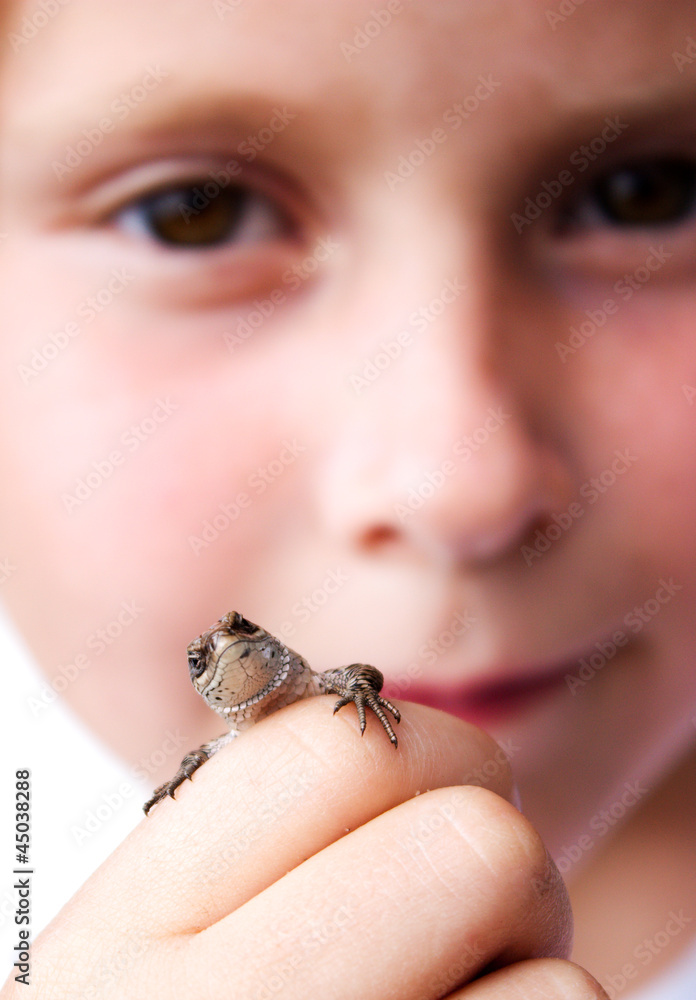 Child holds a lizard in his hand.