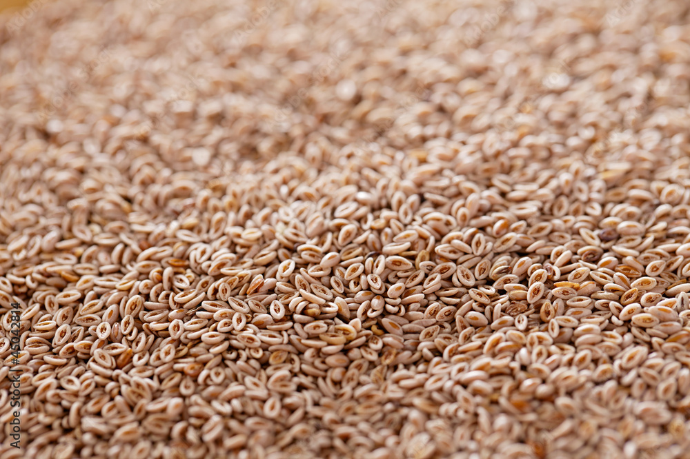 Lovage Seeds, Ajwain Seeds, Carom Seeds backdrop Lovage Seeds, Ajwain Seeds, Carom Seeds backdrop