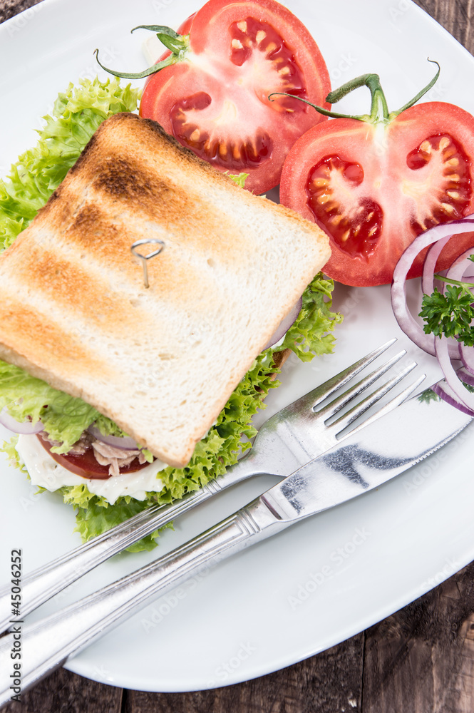 Tuna Sandwich on a plate