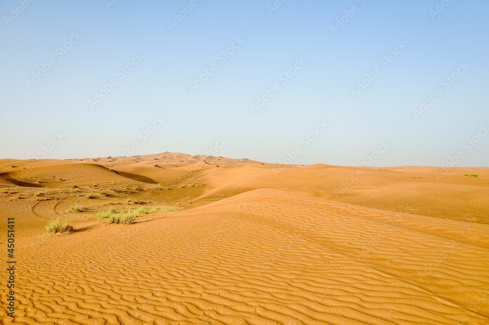 A view of the desert landscape.