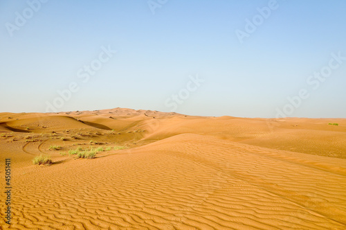 A view of the desert landscape.