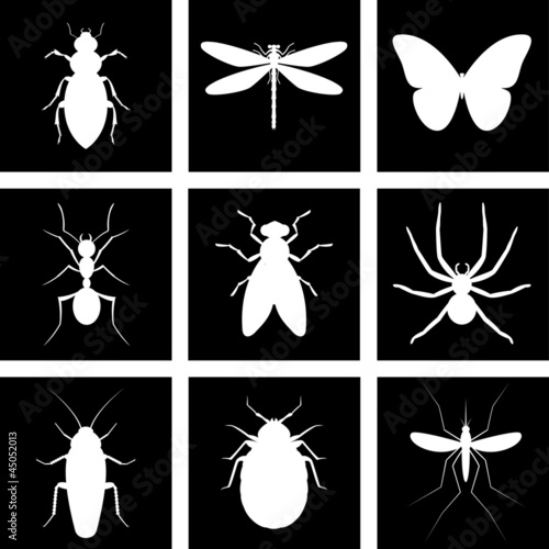 icons insects © roman_malyshev
