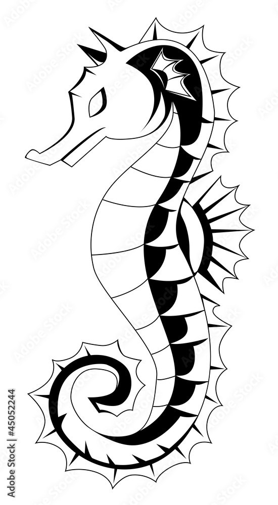 sea horse sea horse