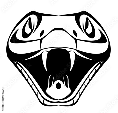snake head