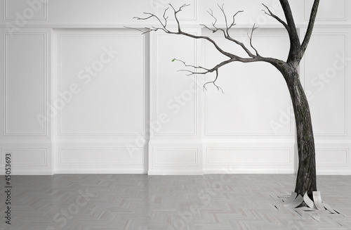 Old tree with falling leaves in a white room.