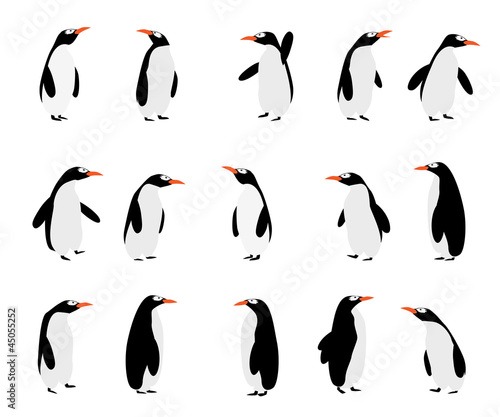 Penguins background
