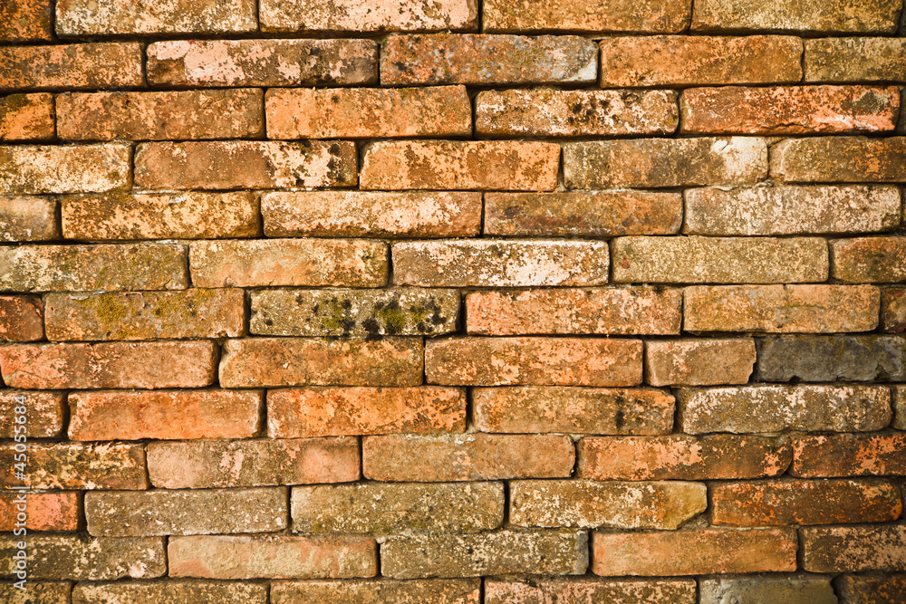 Obraz premium Old brick walls.