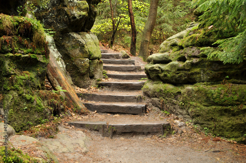 Wander Treppe