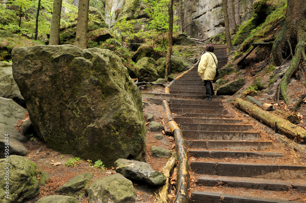 Obraz premium Treppen steigen