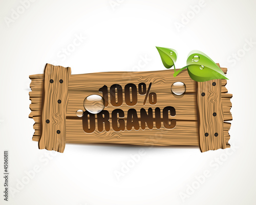 100% Organic - wooden bio icon