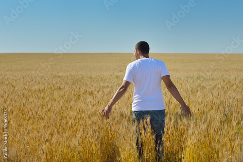 man in wheat field © .shock