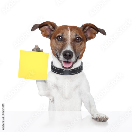 sticky note banner dog © Javier brosch
