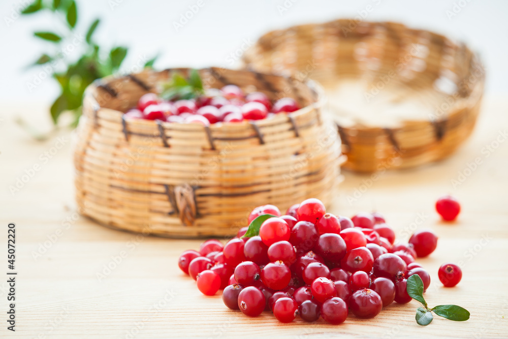 Fresh red cranberries Fresh red cranberries