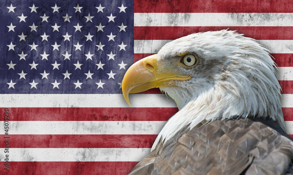 Bandera de los Estados Unidos de América con el águila calva Stock Photo |  Adobe Stock