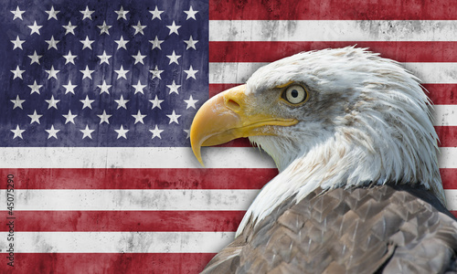 Bandera de los Estados Unidos de América con el águila calva photo