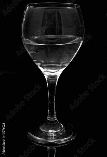 Wine Glass