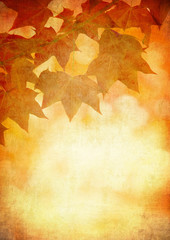 grunge background with autumn leaves