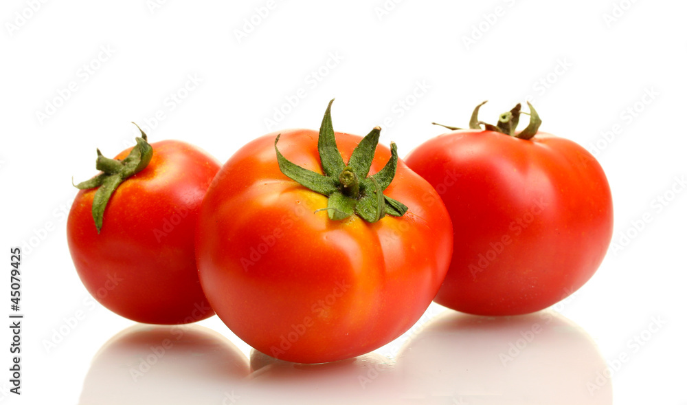 tomatoes isolated on white tomatoes isolated on white