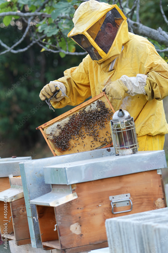 Beekeeper and beehives Beekeeper and beehives