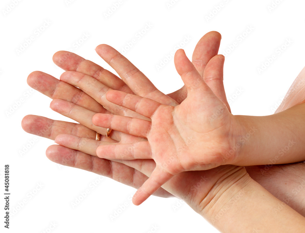 family of a photo of palms