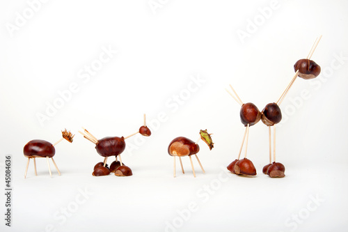Chestnut Animals 1