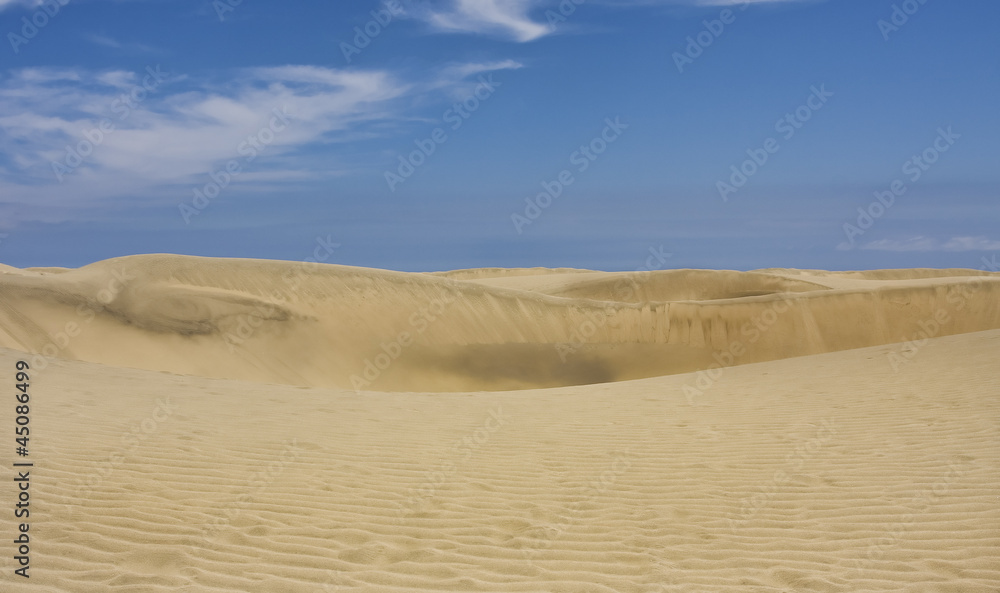 Dune Dune