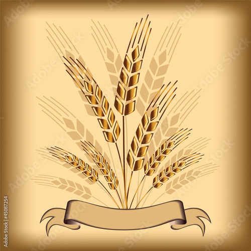 Wheat icon vector