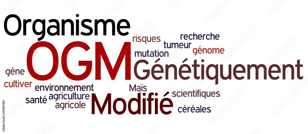 Nuage de Mot : OGM Nuage de Mot : OGM