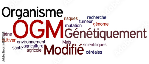 Nuage de Mot : OGM