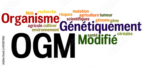 Nuage de Mot : OGM 2