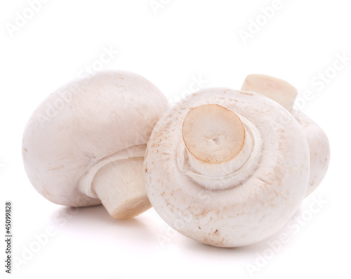 Champignon mushroom