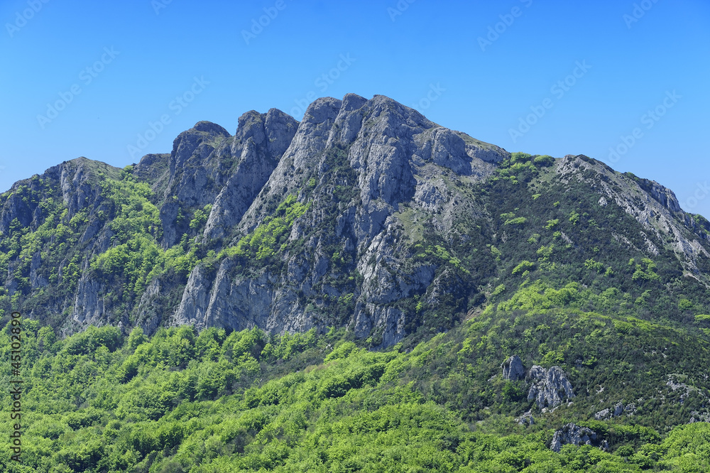 the peak of Bugarach  where peoples may be saved in apocalypse b