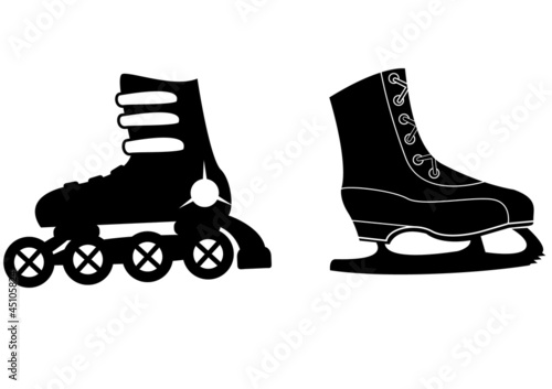 Two species of skates, roller and ice