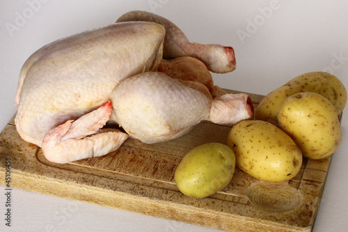 poulet 5 photo