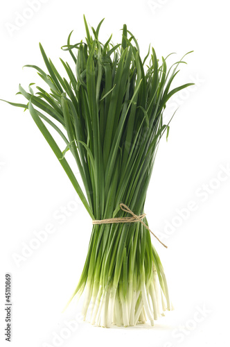 Isolated bunch of chives