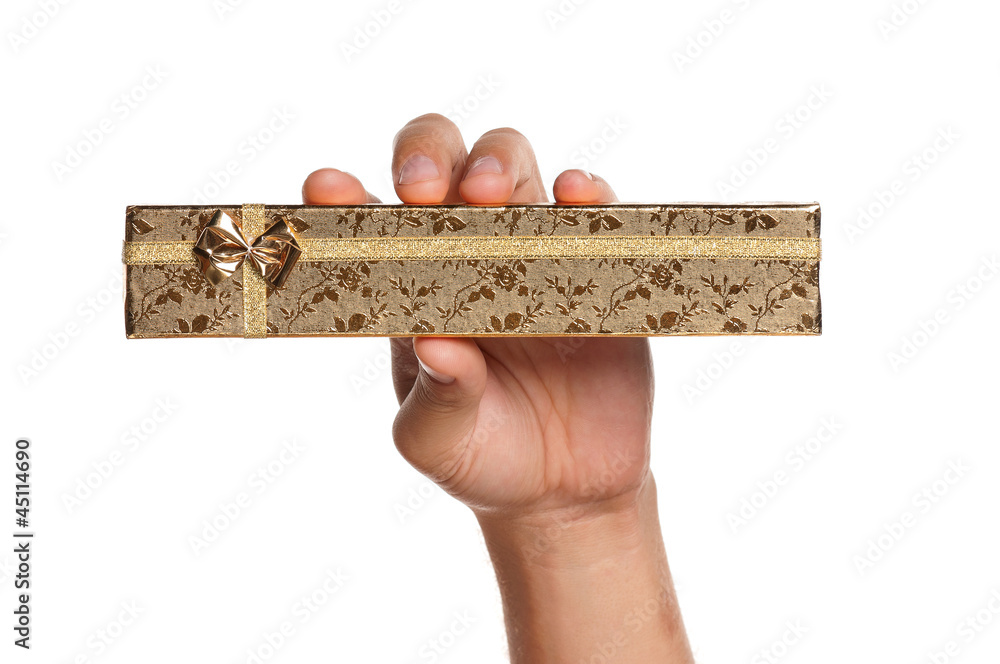 Fototapeta premium Man hand