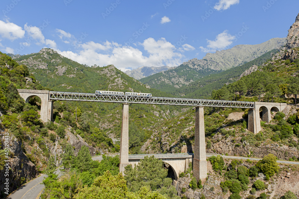 Fototapeta premium Train driving on large bridge and viaduct